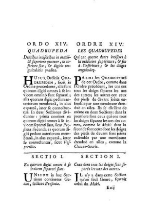 Ordo XIV. Quadrupeda Dentibus incisoribus in maxillâ superiore quatuor, inferiore sex, & digitis unguiculatis praedita. - Ordre XIV. Les Quadrupedes qui ont quatre dents incisives à la mâchoire supérieure, & s