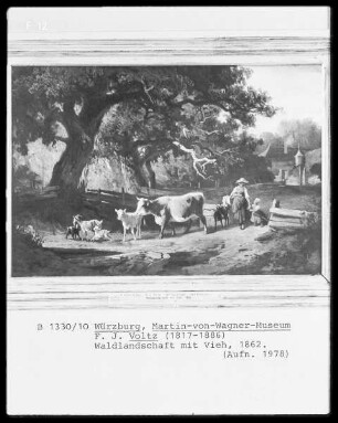 Waldlandschaft mit Vieh
