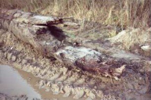 Moorweg: bei Durchlass Alte Alster: Fundstück Rohrleitung aus Holz, nach Bergung: Teilansicht mit Abriss-Ende