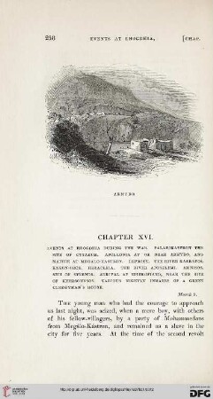 Chapter XVI