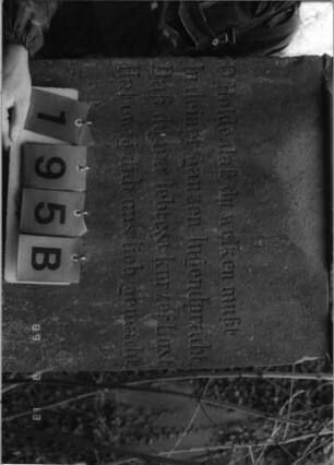 Grabstein 195 (Index: 100093674) Maße HxBxT: 195x62x38 cm Symbolik: Verzierungen: Grabstein 195B