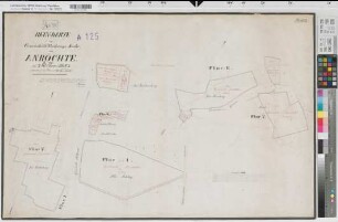 Anröchte (Anröchte), Effeln (Anröchte), Gemeinheitsteilung Anröchte, Bl.3 Reinkarte