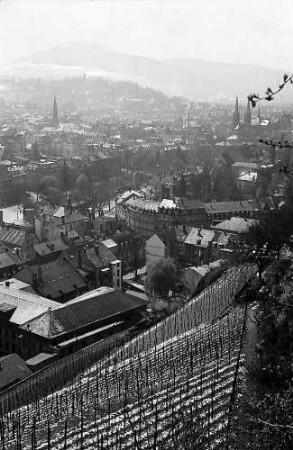 Freiburg i. Br.: Blick vom Schlossberg auf Wiehre und Schönberg, Vordergrund Weinberge