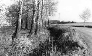Neschwitz-Weidlitz. Kobanmühle, ehem. Bett des Schwarzwassers an der Straße nach Loga