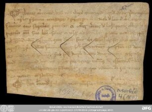 [Halle (Saale), Universitäts- und Landesbibliothek Sachsen-Anhalt, Morbio 4 (100)]