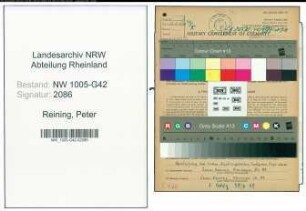 Entnazifizierung Peter Reining , geb. 16.09.1913 (Schneider)