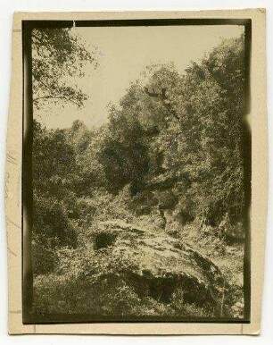 wadi tiana [?]