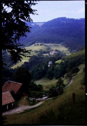 Wildgutach: Obersimonswäldertal