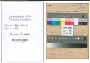 Entnazifizierung Elisabeth Groene , geb. 18.01.1889 (Sparkasseninspektor)