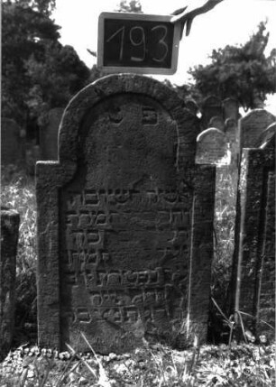 Grabstein 193 (Index: 100103346) Material: Sandstein Zustand: teilweise stark verwittert, abgeblättert, teilweiser Textverlust Maße HxBxT: 95x57x9 cm Beschreibung: Stele, Hufeisenbogenabschluss, Schriftfeld eingetieft mit Konvexbogenabschluss: Grabstein 193