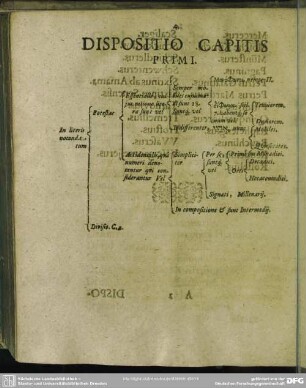 [Liber Primus. De Etymologia]