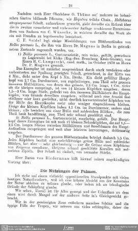 Die Nutzungen der Palmen