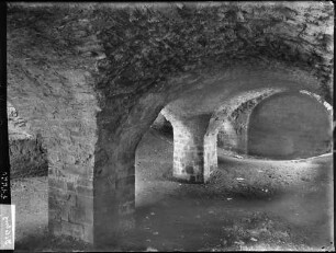 Dilsberg Burgruine - Oberburg ehemaliges Palas, Kellergewölbe