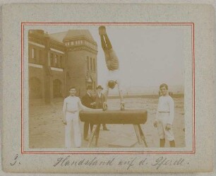 3. Handstand auf dem Pferde