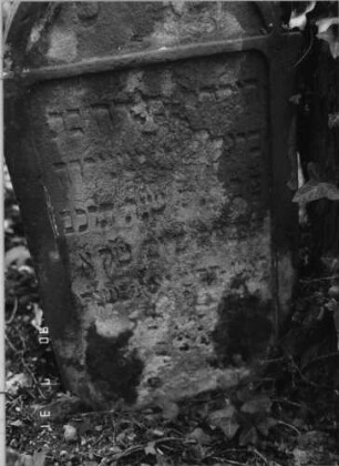 Grabstein 77 (Index: 99790599) Maße HxBxT: 79x38x13 cm Besonderheit: Kindergrab: Grabstein 77A