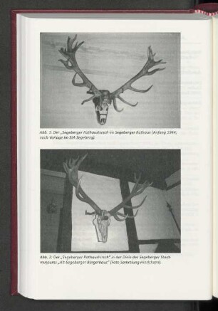 Abb 2: Der "Segeberger Rathaushirsch" in der Diele des Segeberger Stadtmuseums "Alt-Segeberger Bürgerhaus" (Foto Sammlung Hinrichsen).