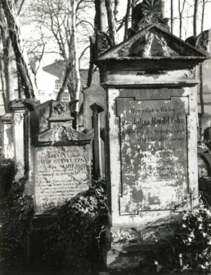 Grabmale für David Mendel Cohn und Julius Mendel Cohn : Grabmale für David Mendel Cohn und Julius Mendel Cohn. Sandstein (1880/1882). Dresden-Neustadt, Alter jüdischer Friedhof