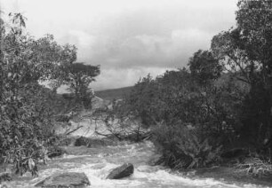 Wasserkraft für Konservenfabrik : Flusslandschaft
