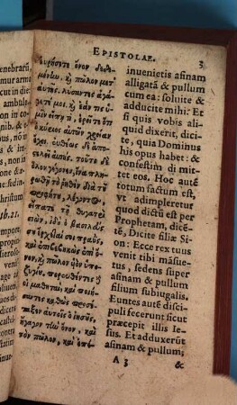 Evangelia Et Epistolae Latine Et Graece, Qvae Dominicis Et Festis totius Anni diebus in Ecclesia legi solent