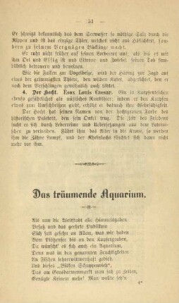 Das träumende Aquarium