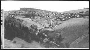 St. Andreasberg. Blick vom Treibholz auf den Ort