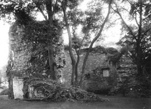 Aschersleben, Burgruine : Aschersleben. Ruine der Burg Aschersleben. Mauerreste mit Informationstafel