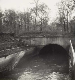 Leutzsch, Dükereinlauf : Leipzig-Leutzsch. Dükereinlauf des mit dem Bauerngraben vereinigten Vorfluters der Kläranlage vor der Alten Luppe. Blick gegen Revier Burgaue des Leipziger Stadtforst (Zuppen-Auwald)