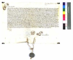 Päpstlich approbierte Eidesformel des neuen Propstes des Wengenstfts zu Ulm, Joseph Braunmüller.
