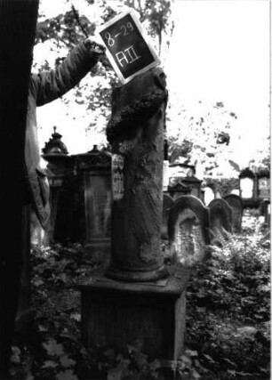 Grabstein A II/8/29