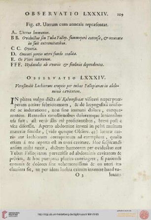 Observatio LXXXIV