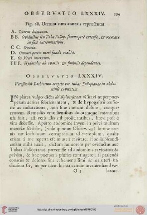Observatio LXXXIV