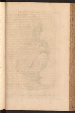 pag. 343