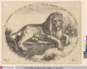 [Der große Löwe; The Great Lion; Le grand lion]