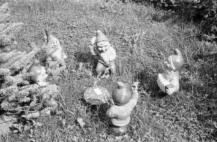 Bad Wildbad: jede Menge Gartenzwerge