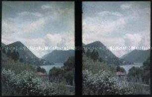 Blick auf den Luganersee und dem Aussichtsberg Monte Brè in Lugano