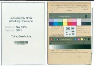 Entnazifizierung Geertruida Tuke , geb. 31.07.1905 ()