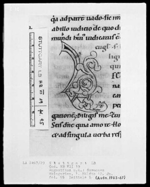 Augustinus, Sermones — Initiale L, Folio 95recto