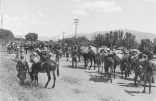 Italienische Kolonialsoldaten : Italienische Kolonialsoldaten auf einer Landstraße