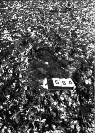 Grabstein 584