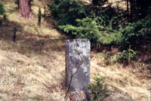 alter Grenzstein im Wald