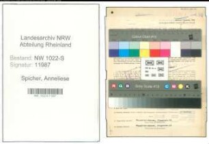 Entnazifizierung Anneliese Spicher , geb. 09.01.1922 ()