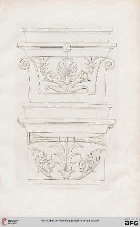Plates 1-40