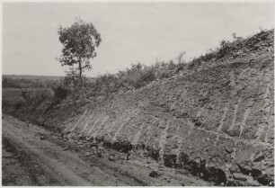 Tal des Rio Miranda : Untere Terrasse, Galeriewald im Hintergrund sowie Übergang zur oberen Terrasse im Vordergrund, 48,07 km von Nioaque entfernt