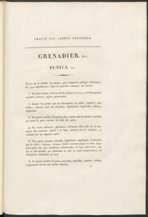 Grenadier. Duh. Punica. Lin.