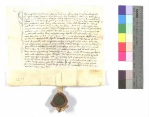 Wolf Adel von Tottenheim (=Dottenheim) bekennt, dass Hohenlohe die Patronatsrechte an die Pfarrkirche in Unterschüpf hat; ausgestellt o.O., 1484 (Donnerstag nach Bartholomäus); Pergament, Siegel: Wolf Adel von Tottenheim.