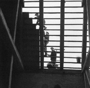 Dachdecker in Basedow