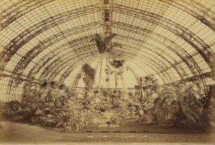 Flora in Charlottenburg, Inneres Palmenhaus