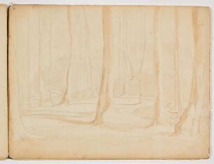 Waldstudie