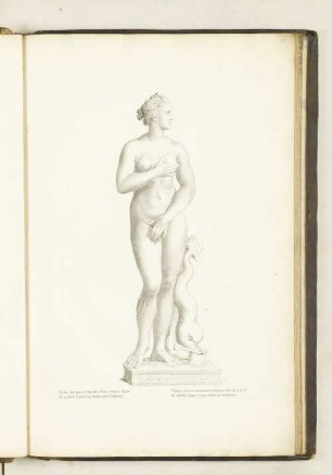 Statue antique de marbre d'une Venus haute de 4. pieds 6.pou. au palais des Thuilleries.