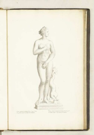 Statue antique de marbre d'une Venus haute de 4. pieds 6.pou. au palais des Thuilleries.
